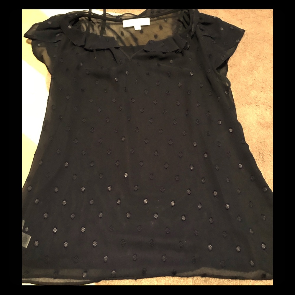 Loft sheer blouse